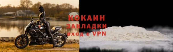 дживик Алексин