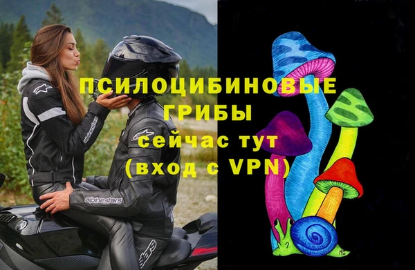 прущие грибы Алексеевка