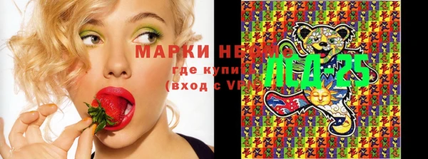 прущие грибы Алексеевка