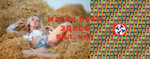 прущие грибы Алексеевка