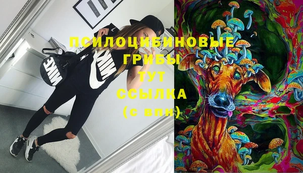 прущие грибы Алексеевка