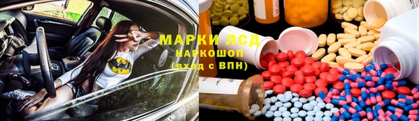 прущие грибы Алексеевка