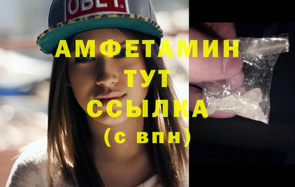 прущие грибы Алексеевка