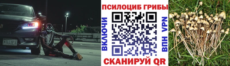 Псилоцибиновые грибы Cubensis  Оханск 